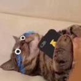 疼疼疼