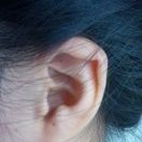 Y.先生