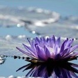 三生尽