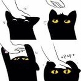 吸猫患者🐱