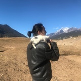 庭院深深深几许