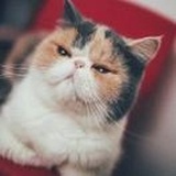 安静的小蜗牛