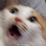 一颗草莓怪