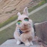 纸阳光