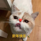 豆友194734704