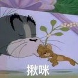 我是毛豆