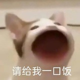 糖醋排骨