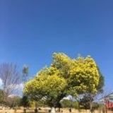 万人往