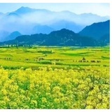 豆友194809378