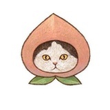 陈家多多仔