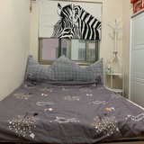 豆友tiger