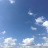 子曰