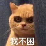 蚂蚁呀嘿嘿嘿