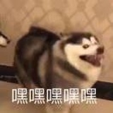 王金龙