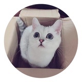 阿左lize
