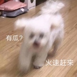 想出名字就改名