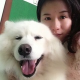 水云儿