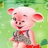 猪猪豆-🐷 年瑞🐷