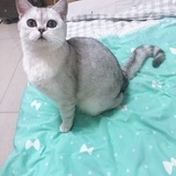 否极泰来
