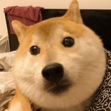 有.意思