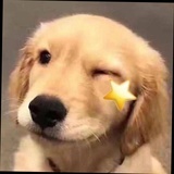 青空eddie