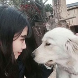 毒奶