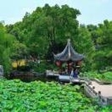 东风徐来