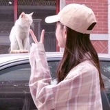 邻里的猫