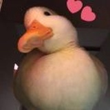 merrri