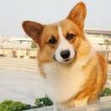 彪悍勇敢