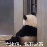 一只