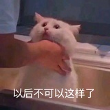 (∴• ʚ •∴)