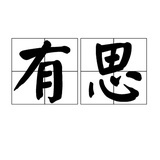 有思录