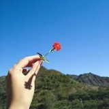 叫我雅静