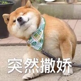 想吃板鸭