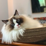 过路人