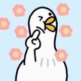 兜月