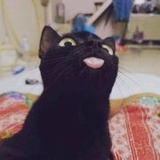 砂糖