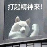 豆友195317229