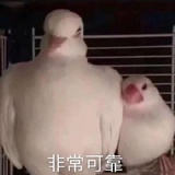 咕咕