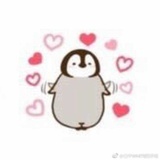 今天也要减肥