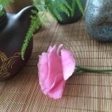 凌好🍀