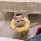 豆友195382698