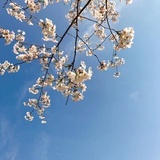 零