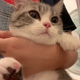 QQQQI