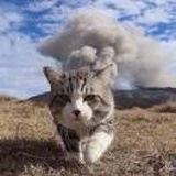 浮生若梦