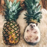 。