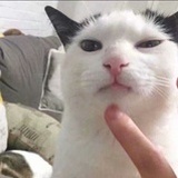 华源张三疯