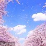 流蘇