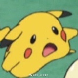 麻婆理工